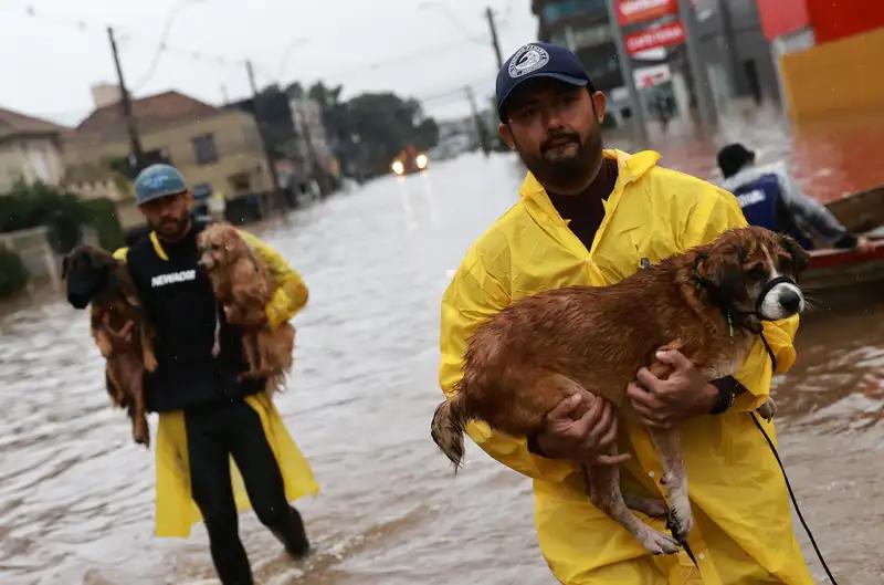 Число жертв наводнения в Бразилии выросло до 113 человек
