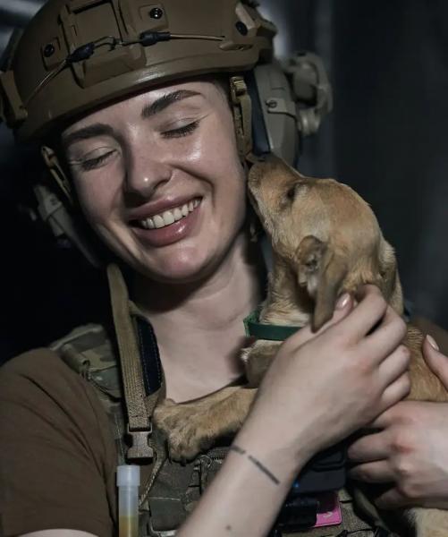 Собака-психолог перестала бояться взрывов в Украине