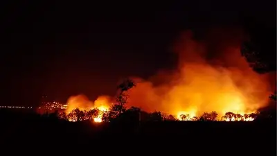 Удвоившееся число мощных пожаров в мире беспокоит ученых Австралии
