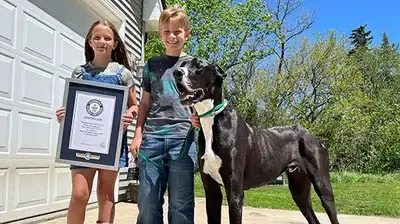 Самая высокая собака в мире попала в Книгу рекордов Гиннесса