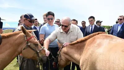 Лукашенко в Монголии подарили коней, а он вручил тракторы