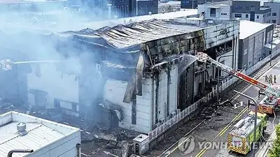 Более 20 рабочих погибли в пожаре на заводе в Южной Корее
