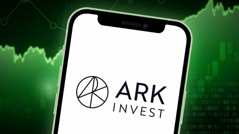 Компания Ark Invest купила акции Block Inc на млн на фоне их падения