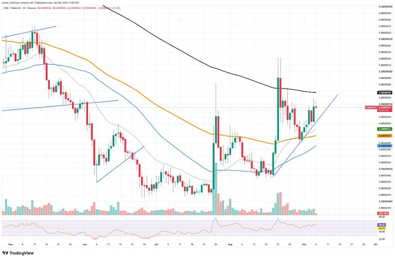 За сутки на криптобиржи поступили Shiba Inu (SHIB) на сумму млрд