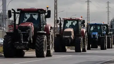 Фермеры Европы снова вернулись к протестам