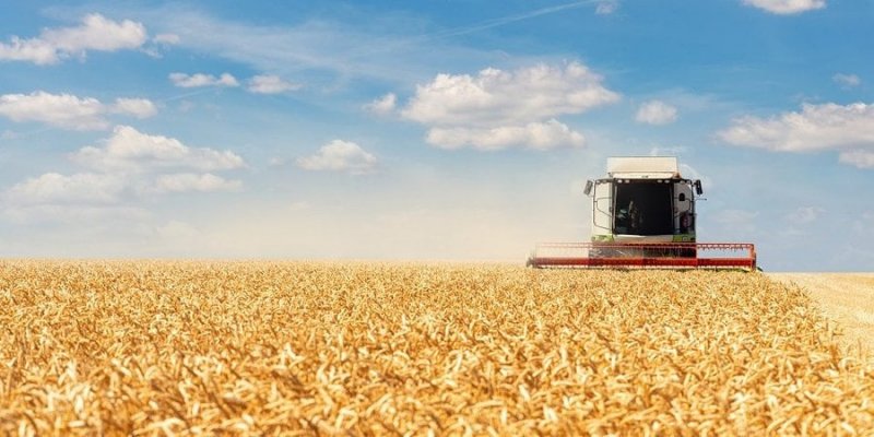 Тут зростають зарплати, і це не IT. У яких компаніях варто розраховувати на зростання доходів у 2023 році та яким воно буде — інфографіка